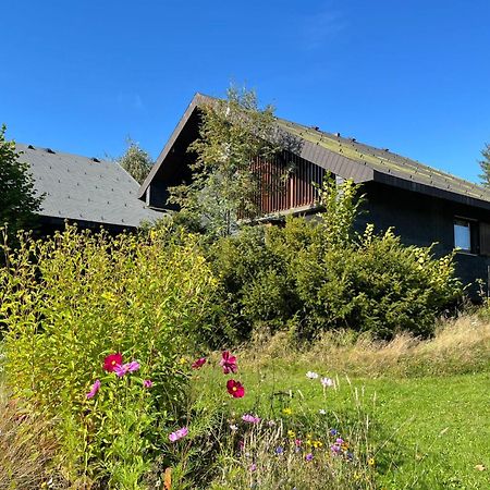 Holiday Home Rechbergblick - Beu302 By Interhome Bernau im Schwarzwald Exteriér fotografie